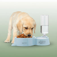 Premium Pet Feeder & Water Station™